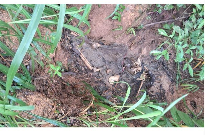 Corpo em estado de decomposição é encontrado em gruta em cidade de MT.