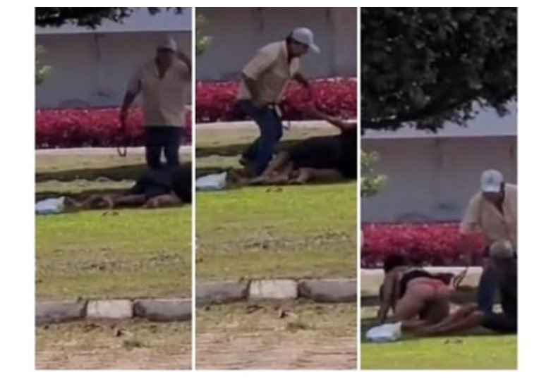 MT: Casal flagrado fazendo sexo em grama de rodoviária apanha de idoso com cinta