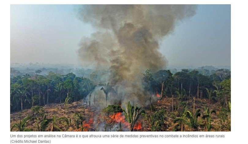Virada ambiental: CCJ aprova projeto que permite desmatar em todos os biomas; entenda