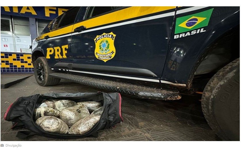 PRF apreende mais de 4 quilos de Skunk em ônibus interestadual em Rondonópolis