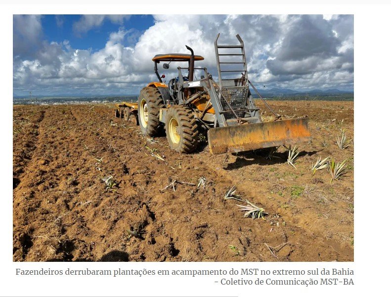 Fazendeiros invadem acampamento do MST e destroem plantações em Itabela (BA)