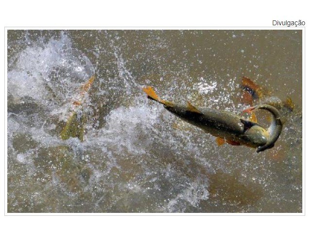 PGR pede novas informações de alteração de lei sobre pesca em MT