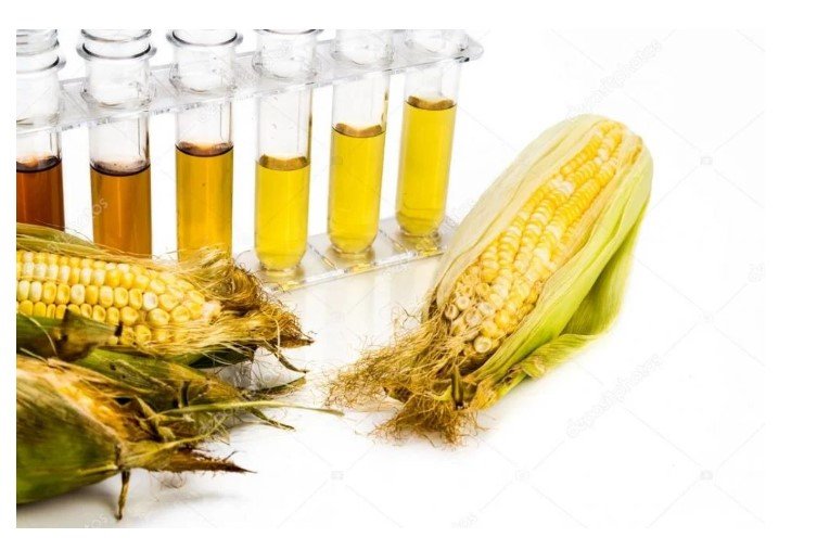 Mato Grosso terá mais uma usina de usina de etanol de milho