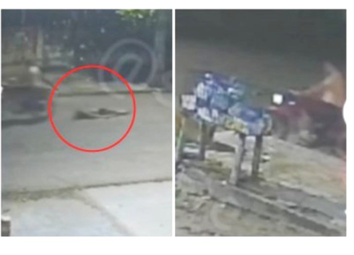 Maníaco mata mulher e a arrasta com corrente em moto em MT; vídeo