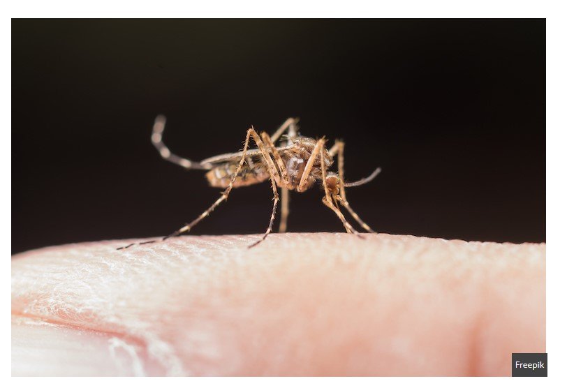 Em média, Brasil registra 1 milhão de casos de dengue por mês