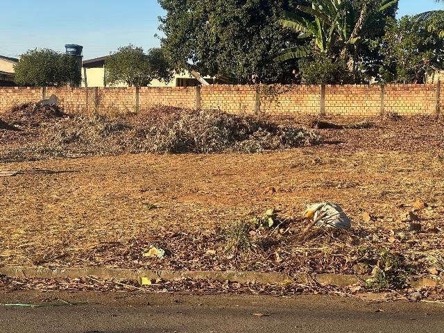 COLÍDER: Moradores do bairro Sagrada Familia reclamam de lixão no centro da cidade. (Fotos)
