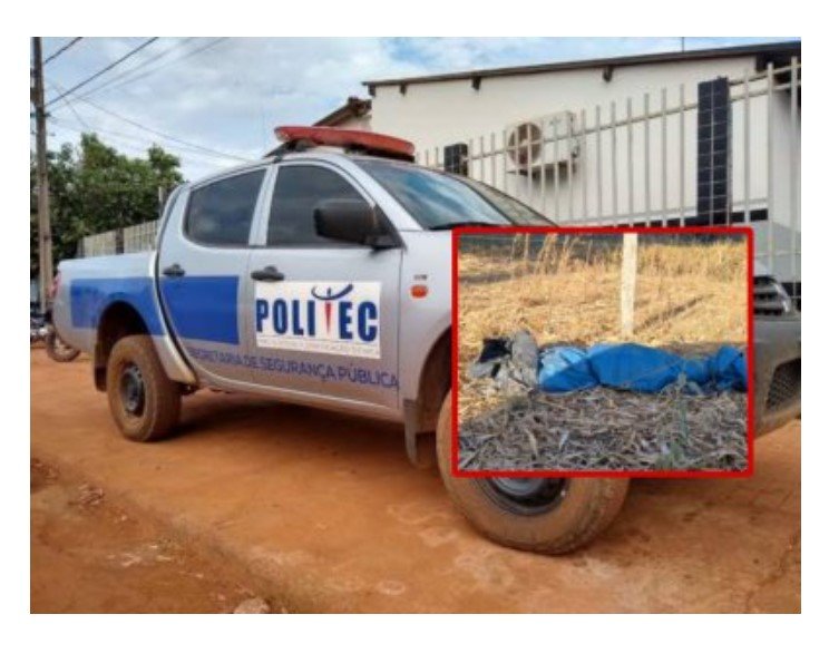 Homem é morto com facadas na cabeça e pescoço em fazenda