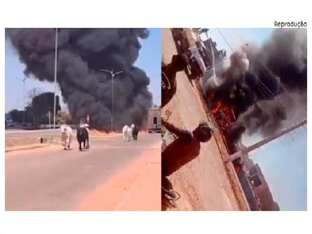 Vídeo - Carreta pega fogo e animais se espalham pela pista