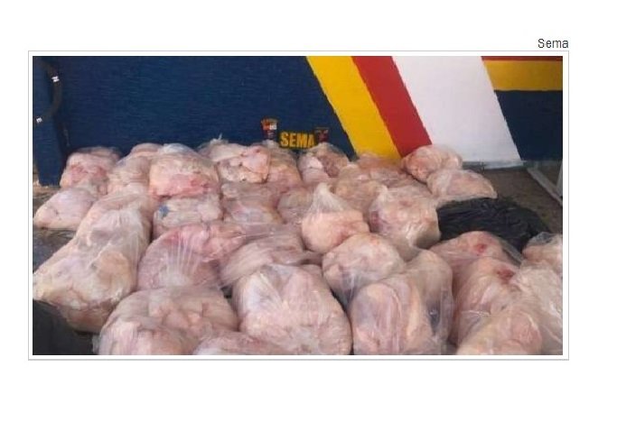 Dupla é multada em R$ 294 mil por caça de mais de 500kg de carne de jacaré