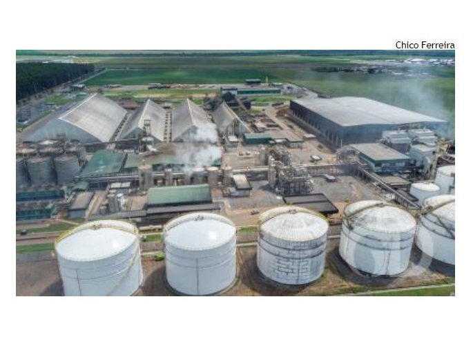 Especialista aponta crescimento na produção do etanol de milho em MT