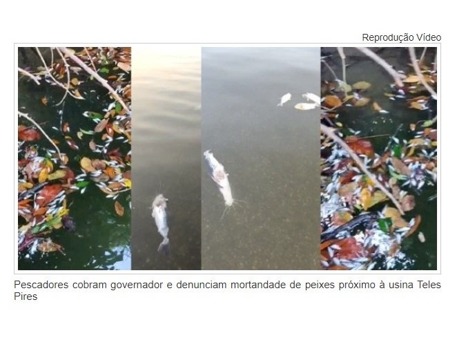 SINOP: Usina provoca mortandade de peixes no rio Teles Pires, dizem pescadores