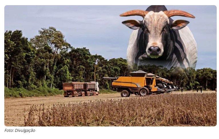 Estado brasileiro é o maior produtor de alimentos por metro quadrado do mundo
