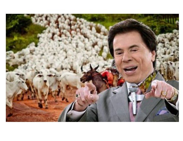 Silvio Santos teve mega fazenda e 10 mil cabeças de gado em MT