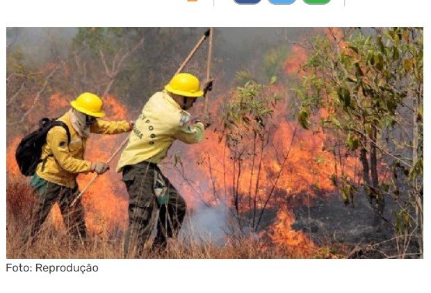 Corpo de brigadista é encontrado carbonizado no Parque Indígena do Xingu