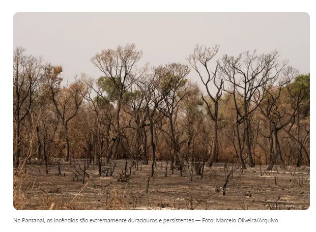 MT lidera queimadas no Brasil com 24 mil focos detectados em 2024, aponta Inpe