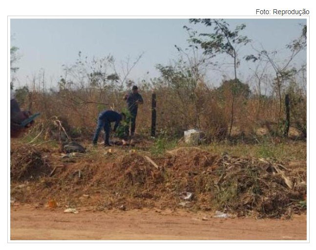 Mulher sem identificação é encontrada morta em terreno com rosto desfigurado