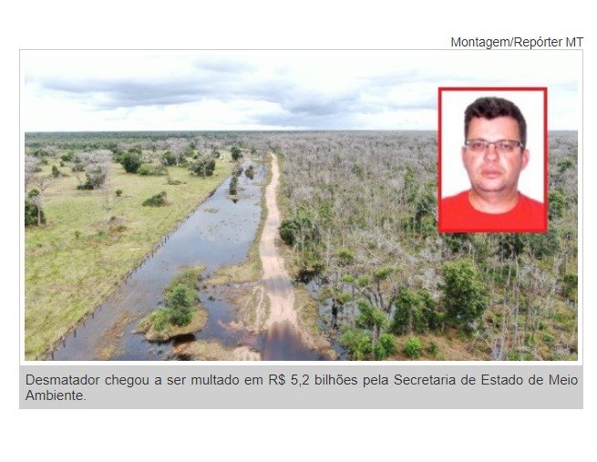 Juiz absolve pecuarista que desmatou 80 mil hectares no Pantanal para criar gado