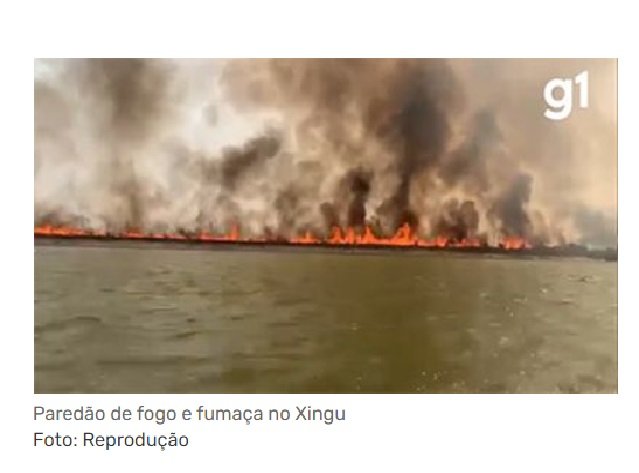 Paredão de fogo se forma durante incêndio em área do Parque Indígena Xingu; veja vídeo