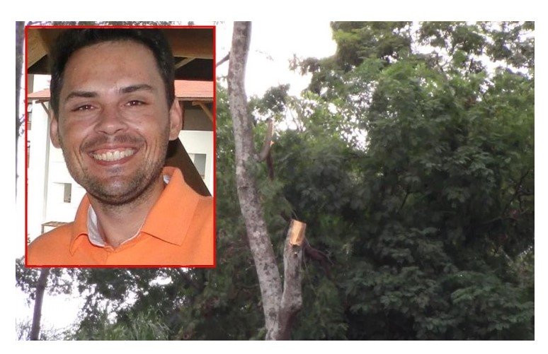 Empresário morre após cair de árvore durante poda em Sorriso