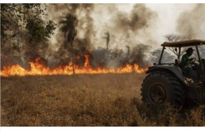 Homem morre carbonizado ao tentar apagar incêndio em fazenda de Confresa
