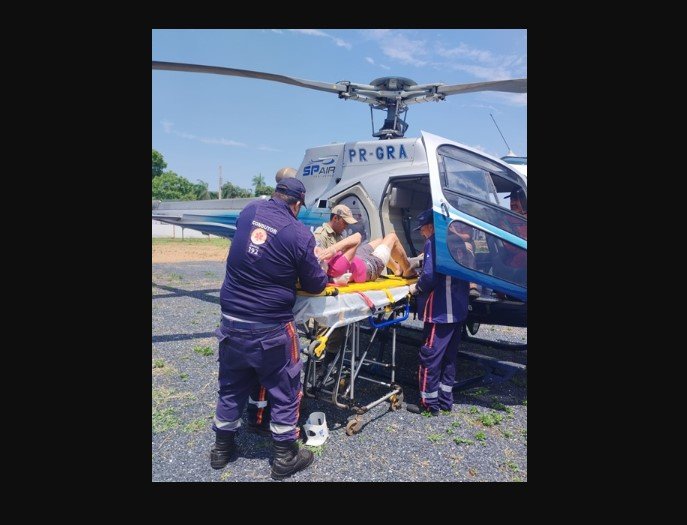 Turista italiana é atacada por búfalo no Pantanal e recebe socorro do Corpo de Bombeiros