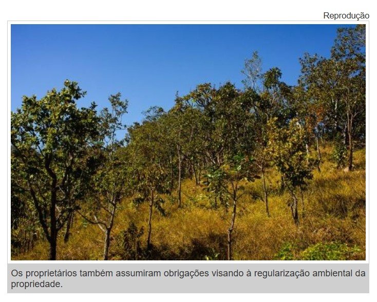 Donos de terras terão que indenizar município de MT por desmatamento ilegal e provocar queimadas