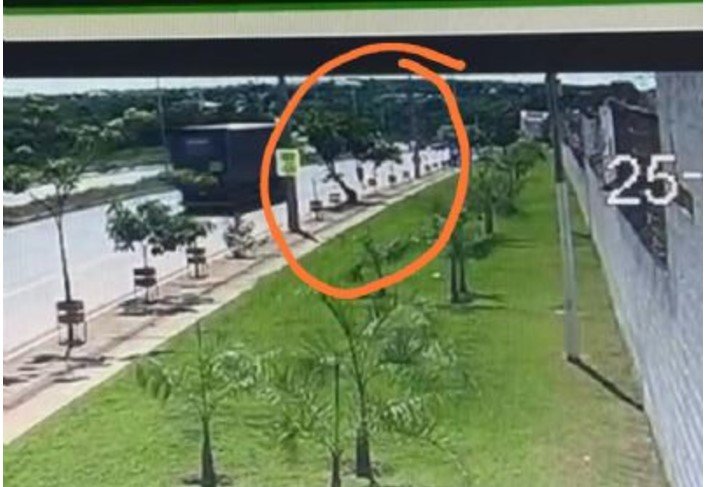 Vídeos | Homem que morreu com corpo dilacerado em VG se jogou sob caminhão