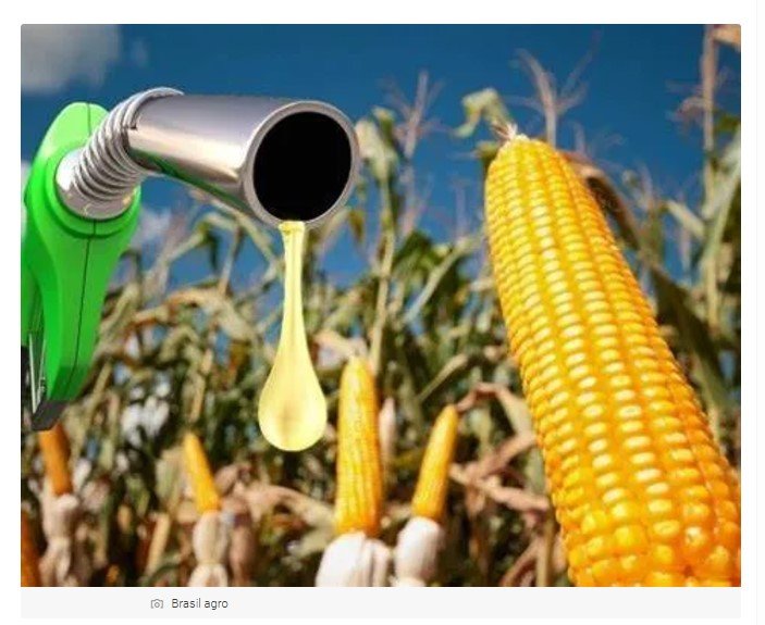 Produção de biocombustível aquece mercado do milho em MT