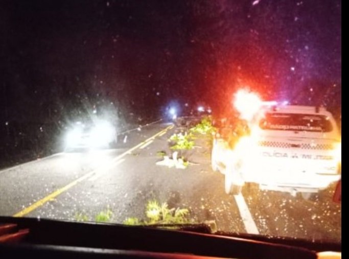 Motorista acerta carro em árvore e morre na hora em MT
