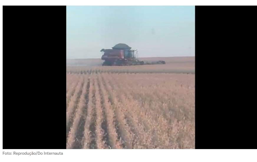 Colheita da soja inicia em Mato Grosso