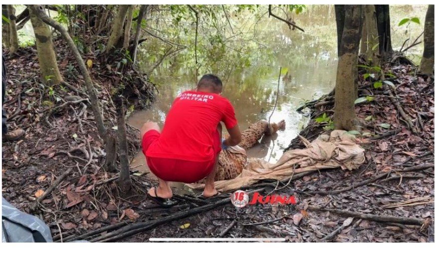 Corpo encontrado no rio Juruena indica ser de homem desaparecido em Juína