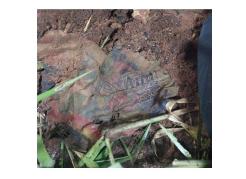 Ossada humana é encontrada em rodovia de Querência (MT)