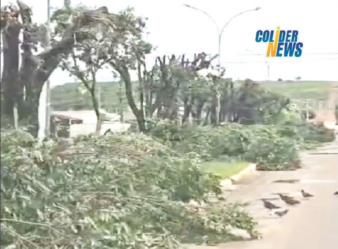 COLÍDER: Poda de arvores ou desmate no centro da cidade? (Vídeo)