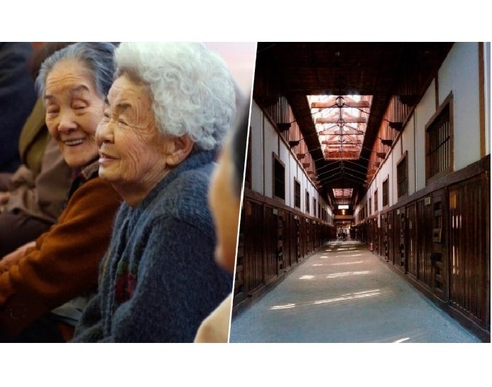 Envelhecimento no Japão atinge ponto devastador, e cada vez mais idosos precisam tomar atitudes drásticas