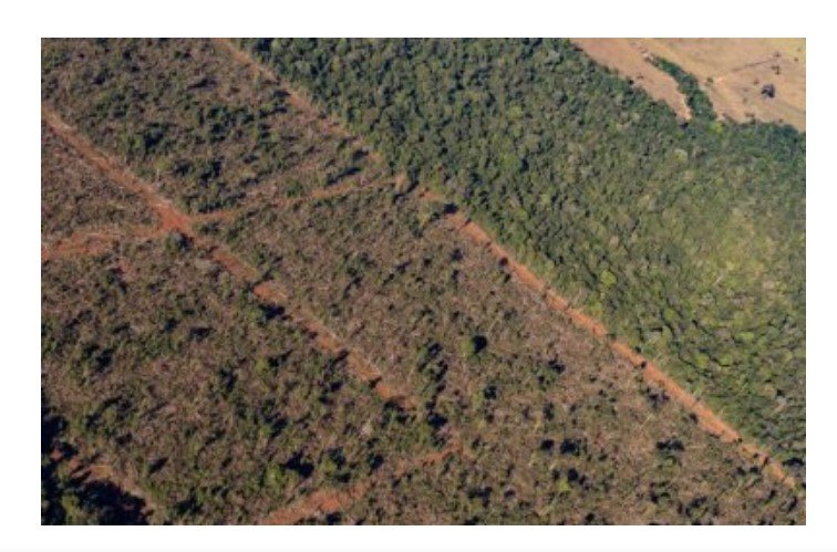 MPF de MT investiga desmatamento no maior assentamento do Brasil