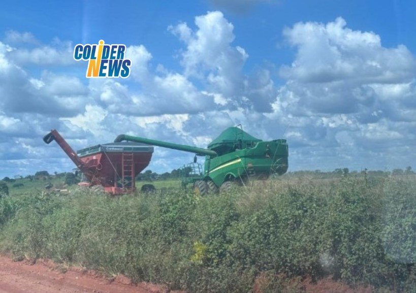 Aprosoja MT alerta para o atraso da colheita após 29 cidades decretaram situação de emergência por conta das chuvas