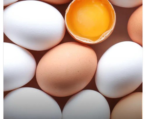 Preço do ovo: veja as cidades onde o alimento mais subiu
