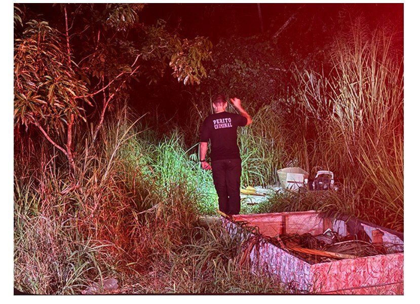 Cachorro encontra bebê dentro de sacola em mato em cidade de MT.