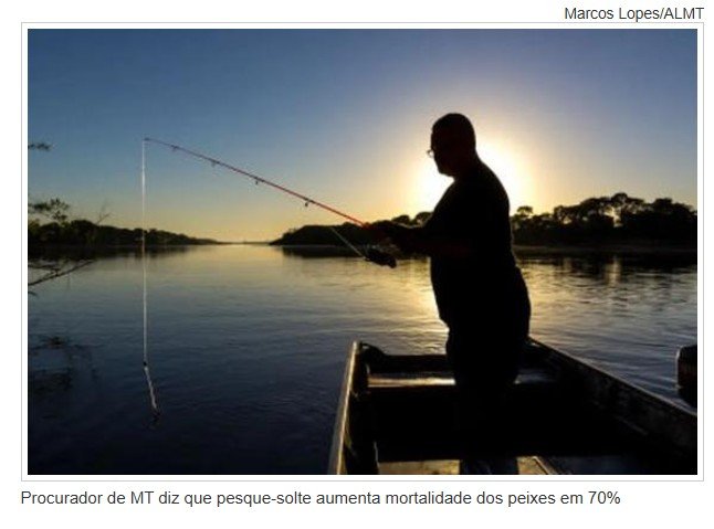 Procurador de MT diz que pesque-solte aumenta mortalidade dos peixes em 70%