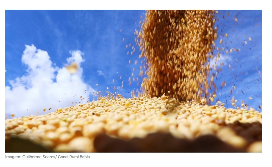 Comercialização de soja ultrapassa 40% da produção estimada