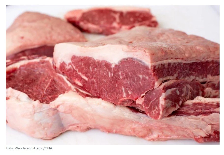 Importação de carne: alíquota zerada afetará pecuaristas? Analista responde