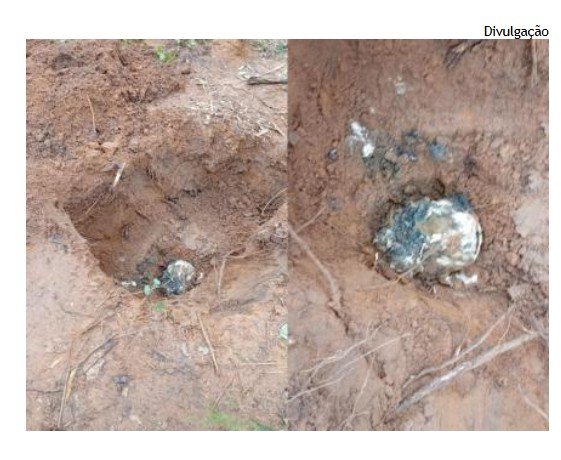 Ossadas humanas são achadas em VG; guarda, polícia e perícia no local