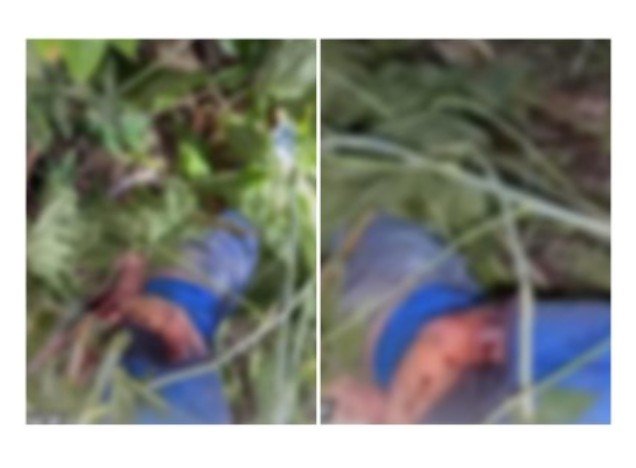 SINOP: Jovem é achado morto com facadas no pescoço e cabeça.