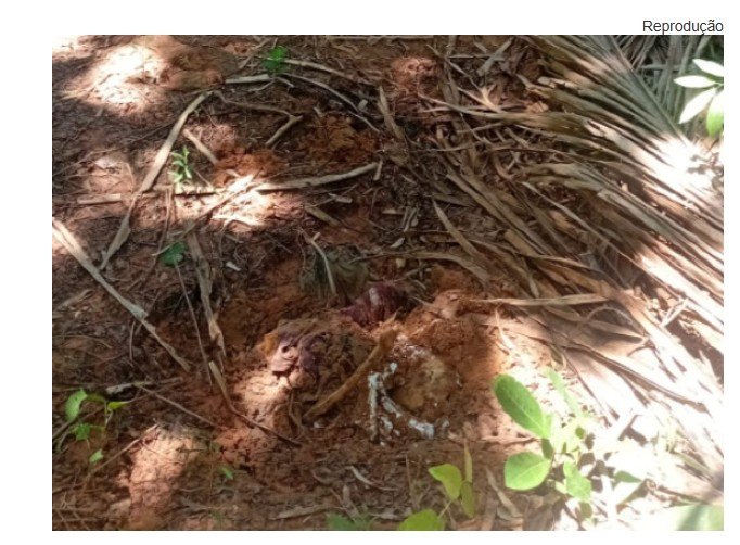Polícia encontra mais duas ossadas em cemitério clandestino em VG