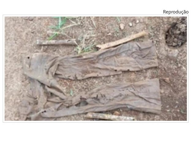 Moradores encontram crânio humano em região de chácaras em cidade de MT.