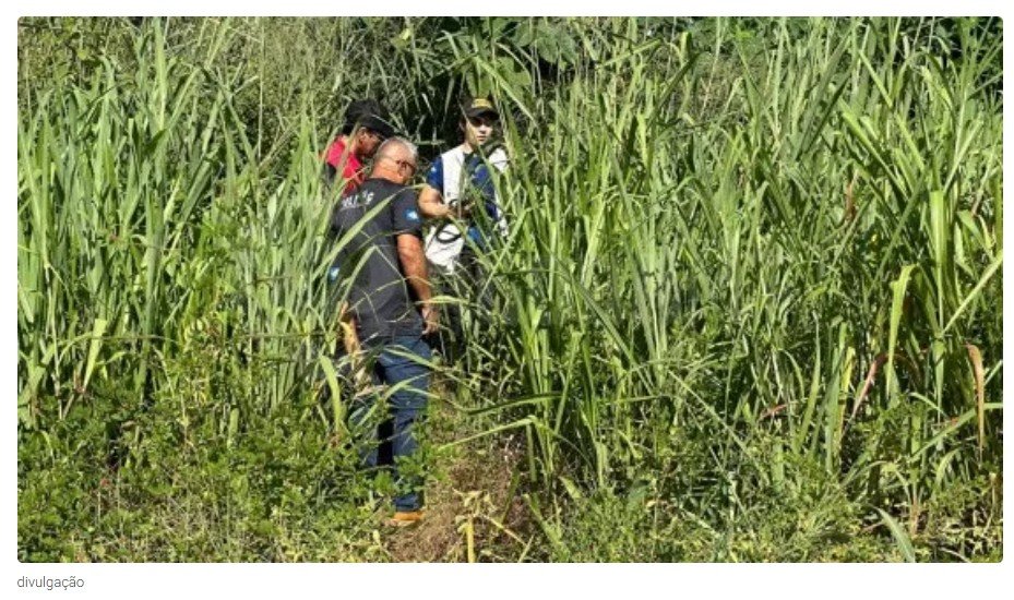 Sobre para 12 o número de ossadas encontradas em cemitério clandestino do crime em MT