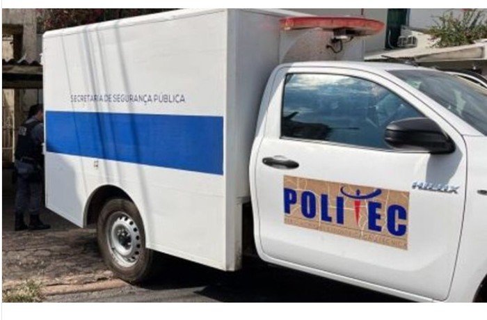 Trabalhador morre esmagado por árvore durante poda em fazenda