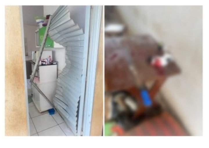 Irmãos bêbados vandalizam casa da mãe e decapitam gato em MT