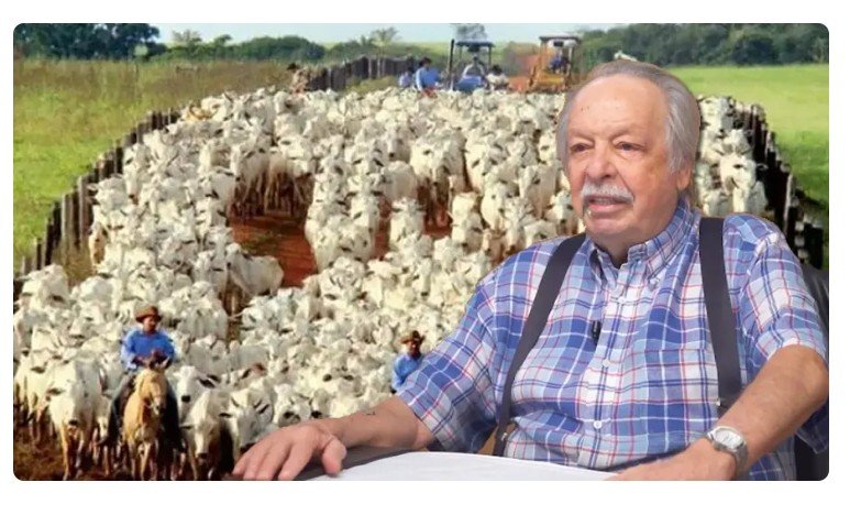 Rei do Gado faz uma escolha ousada e muda o rumo da pecuária no Brasil