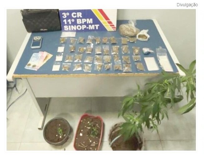 Polícia Militar prende homem com porções e pés de maconha em Sinop